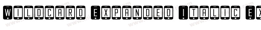 Wildcard Expanded Italic Expanded I字体转换